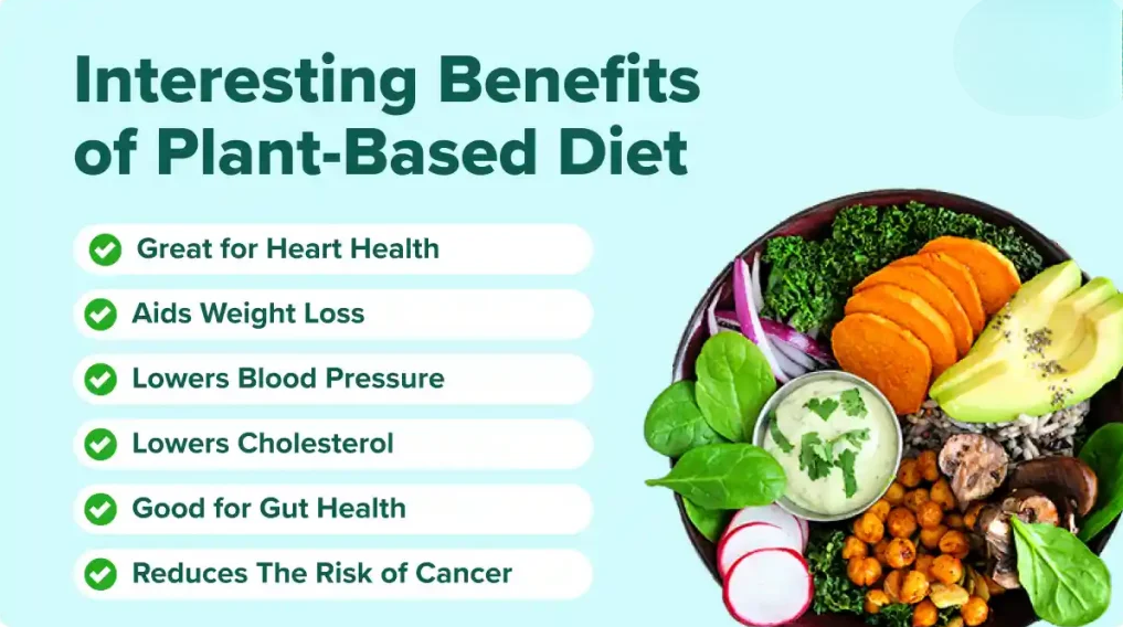 Advantages of Plant-Based Food in Pakistan