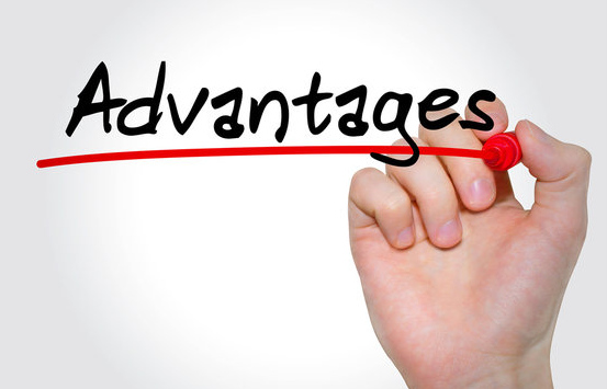 Advantages of Utilizing the 8171 Web Portal