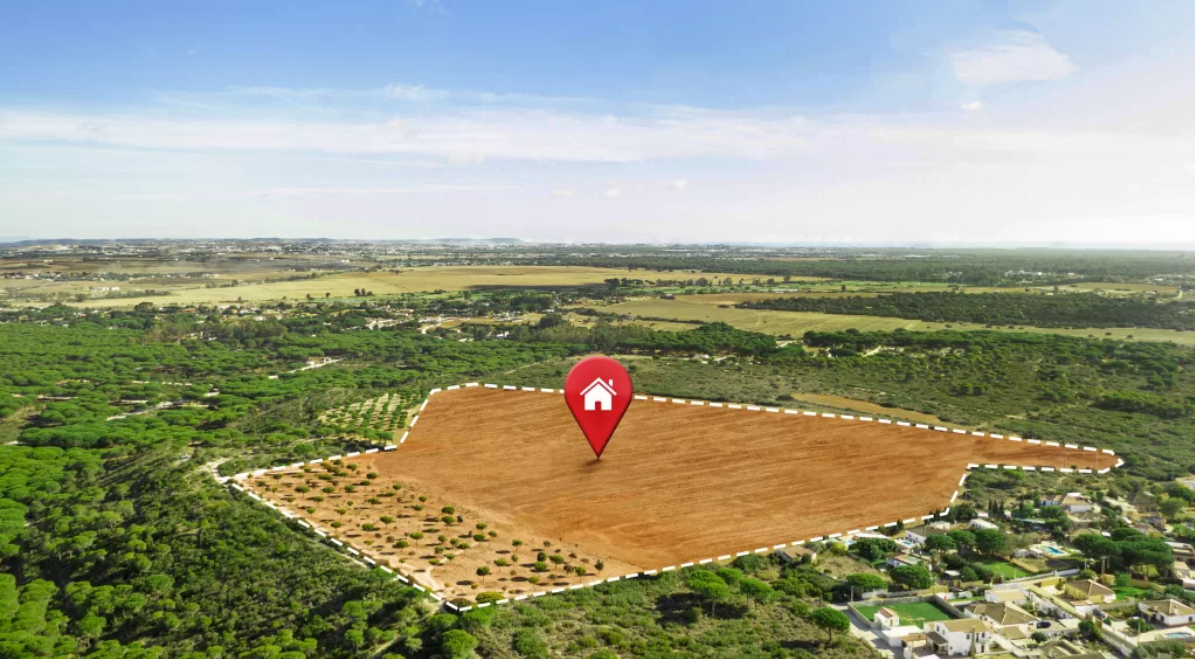 Environmental Considerations for Plot Purchases