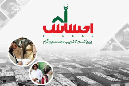 Ehsaas NADRA Gov PK 8171 Apply Online