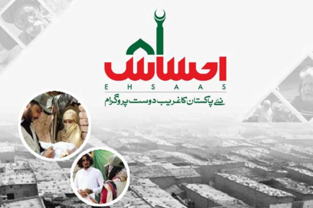 Ehsaas NADRA Gov PK 8171 Apply Online