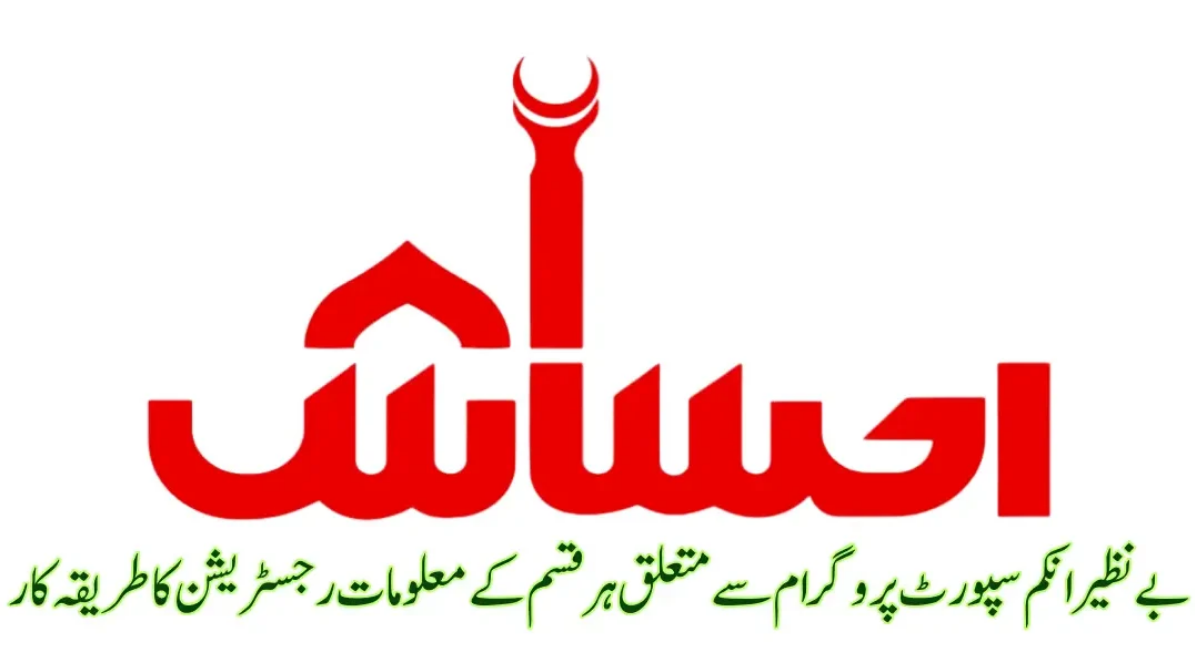 8171 Ehsaas Program 25000